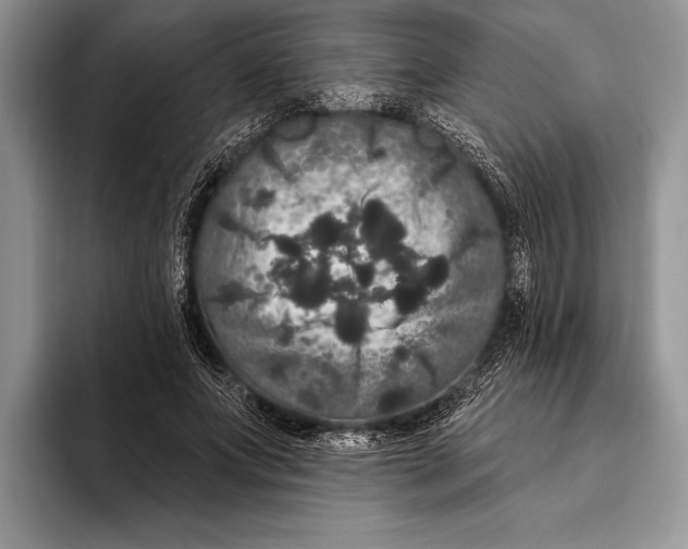 X0000093400687200711091341