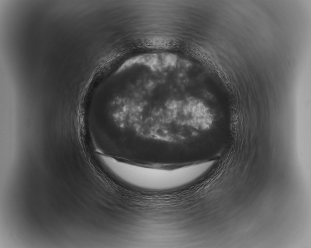 X0000093400688200711091341