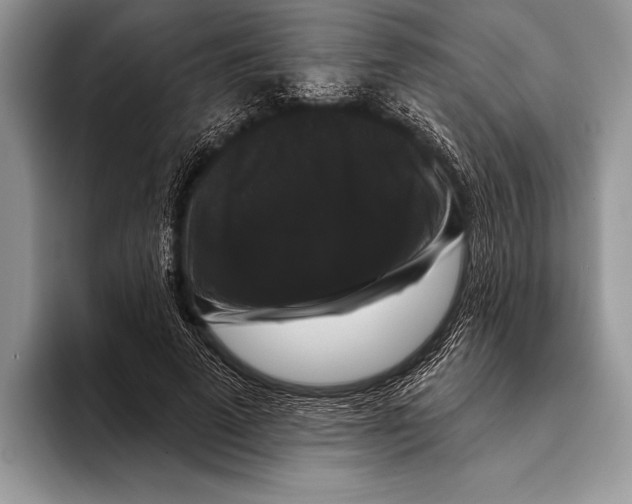 X0000093400689200711091341