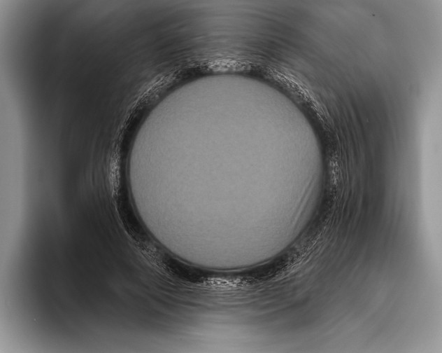 X0000093400690200711091341