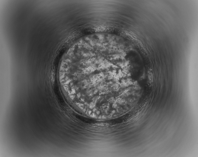 X0000093400691200711091341