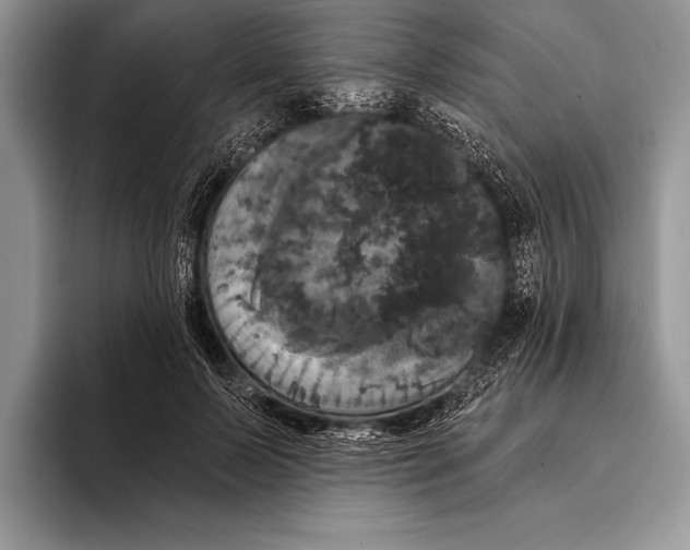 X0000093400695200711091341