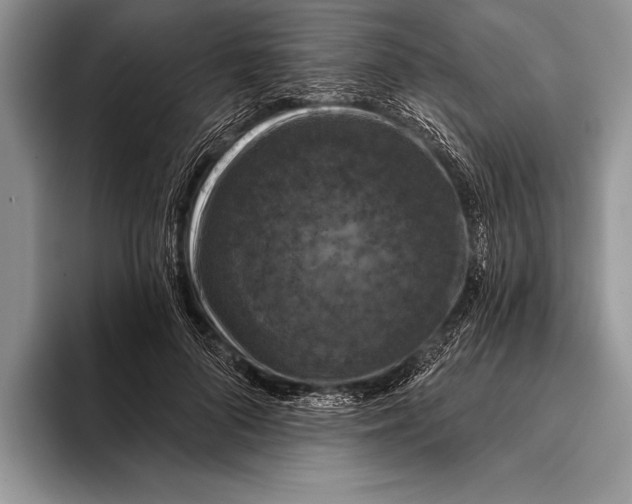 X0000093400696200711091341