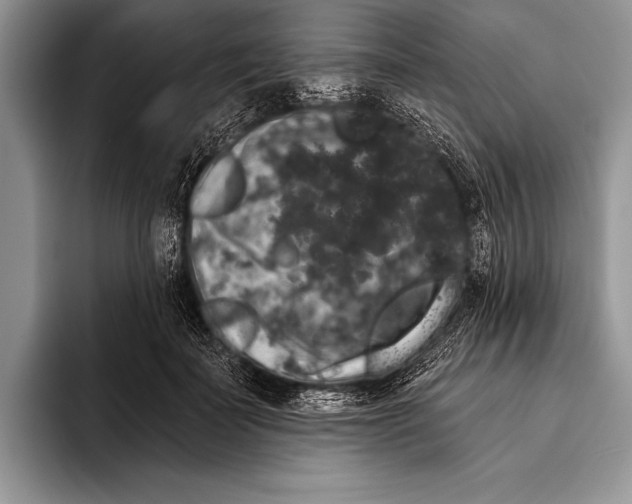 X0000093400699200711091341