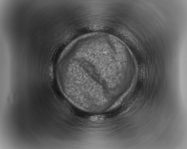 X0000093400700200711091341