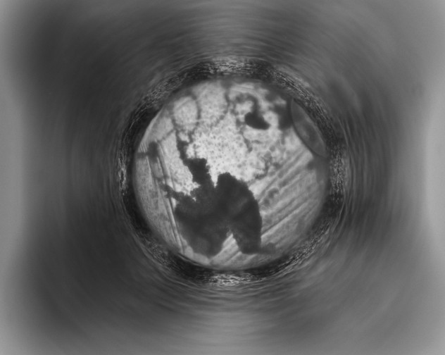 X0000093400703200711091341