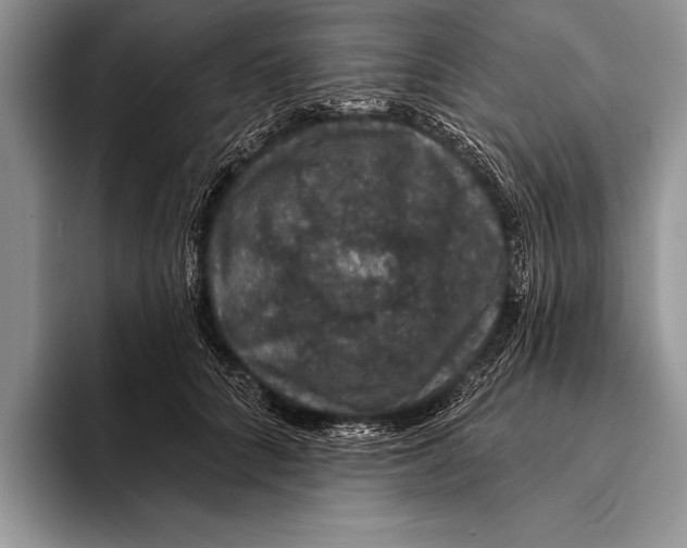 X0000093400704200711091341