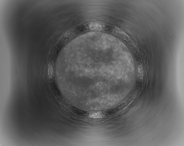 X0000093400705200711091341