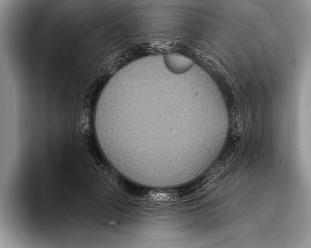 X0000093400706200711091341