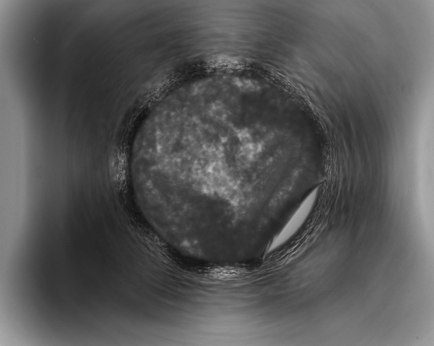 X0000093400708200711091341