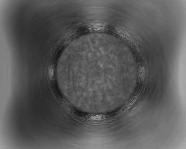 X0000093400709200711091341