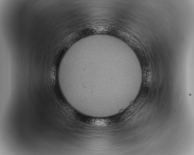 X0000093400710200711091341