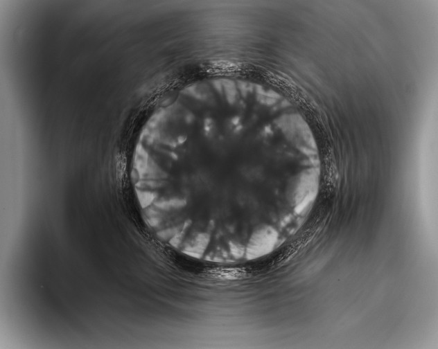 X0000093400711200711091341