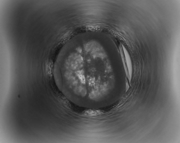 X0000093400712200711091341