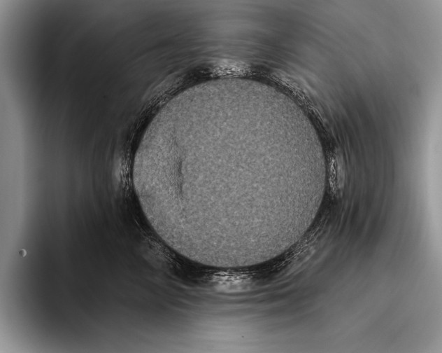 X0000093400714200711091341