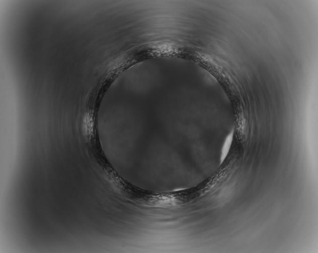 X0000093400715200711091341