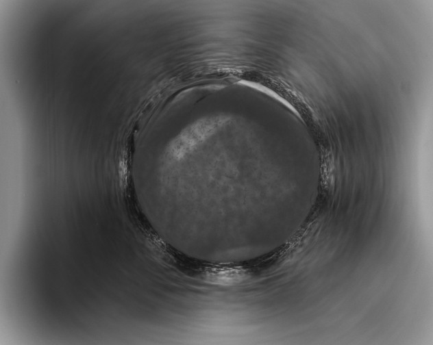 X0000093400716200711091341