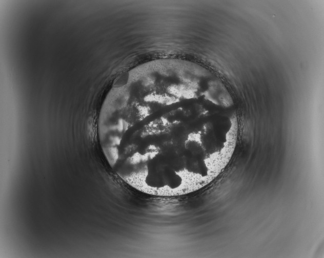 X0000093400719200711091341