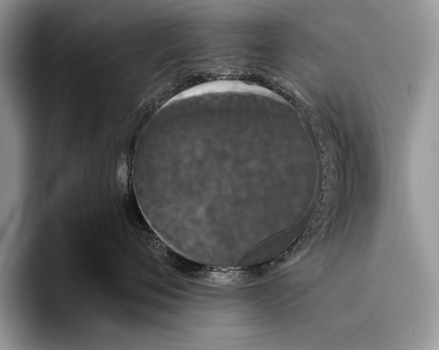 X0000093400720200711091341