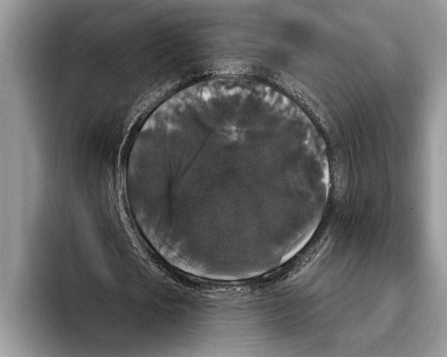 X0000093400721200711091340