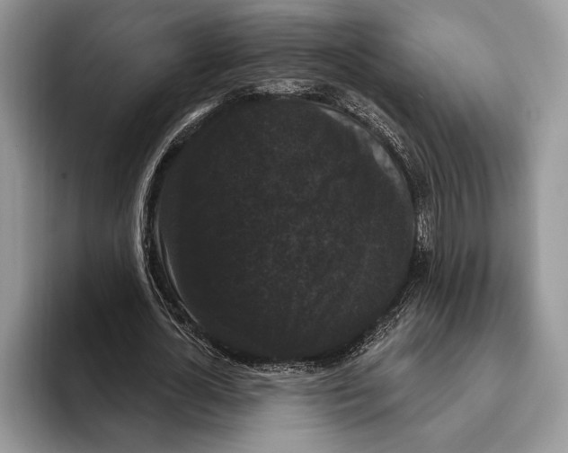 X0000093400724200711091340