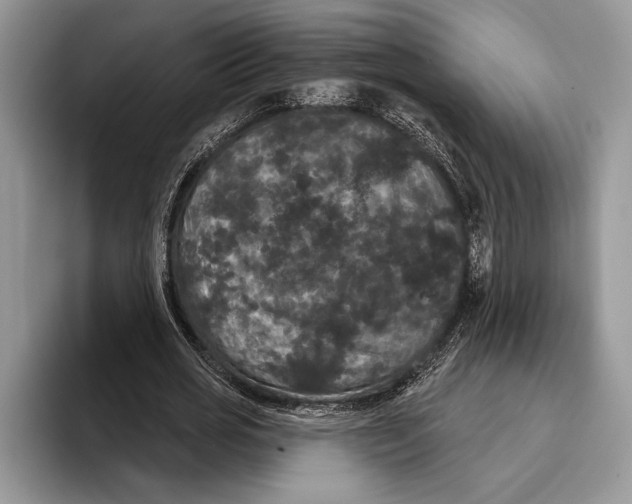 X0000093400725200711091340