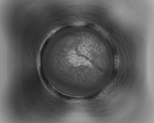 X0000093400726200711091340