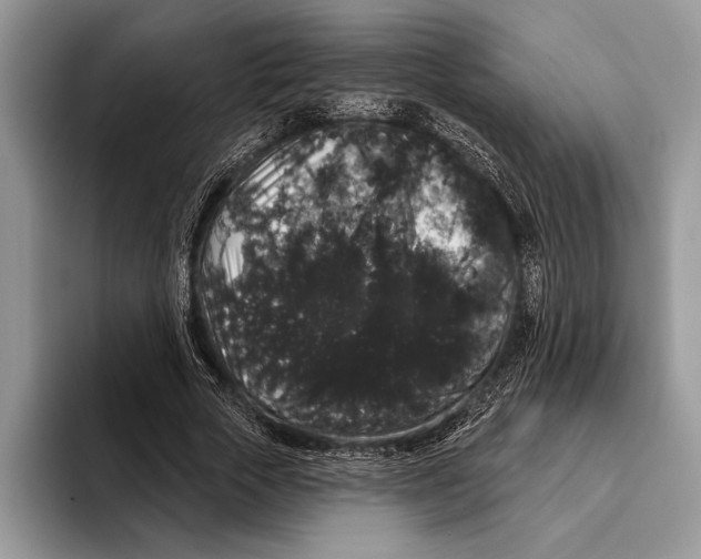 X0000093400729200711091340