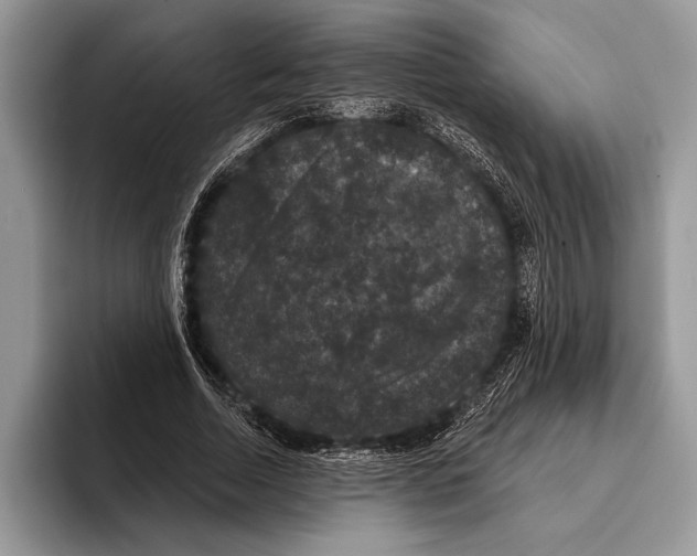 X0000093400730200711091340