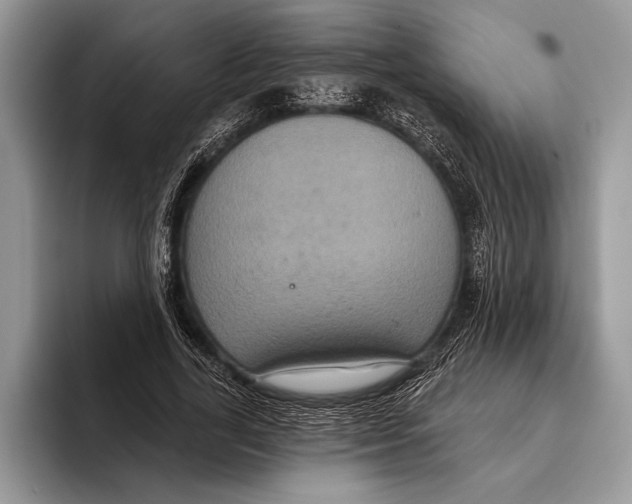 X0000093400731200711091340