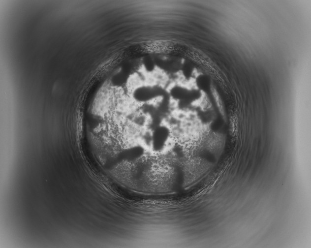 X0000093400733200711091340