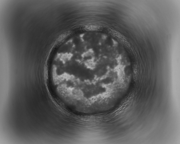 X0000093400734200711091340