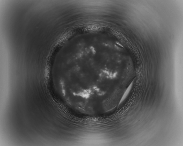 X0000093400735200711091340