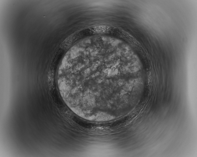 X0000093400737200711091340