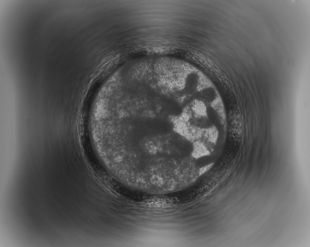 X0000093400738200711091340