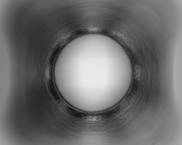 X0000093400740200711091340