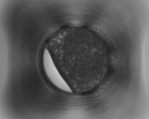 X0000093400742200711091340