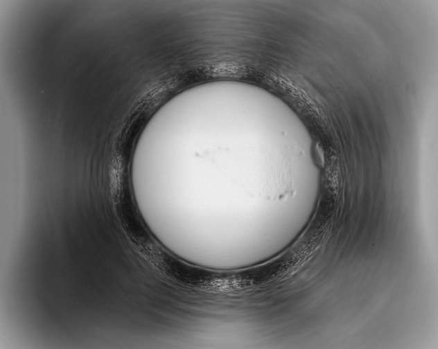 X0000093400744200711091341