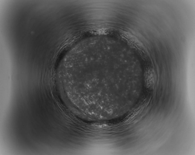 X0000093400747200711091341