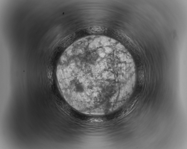 X0000093400749200711091341