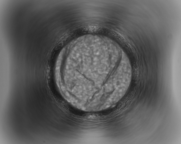 X0000093400750200711091341