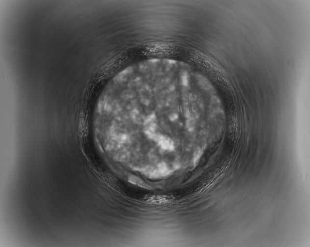 X0000093400751200711091341