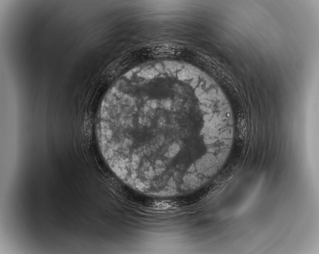 X0000093400753200711091341