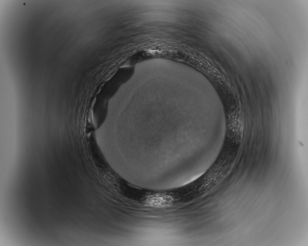 X0000093400754200711091341