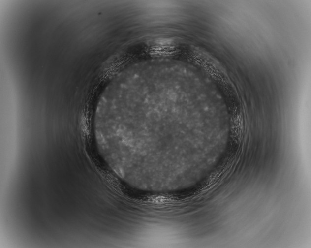 X0000093400755200711091341