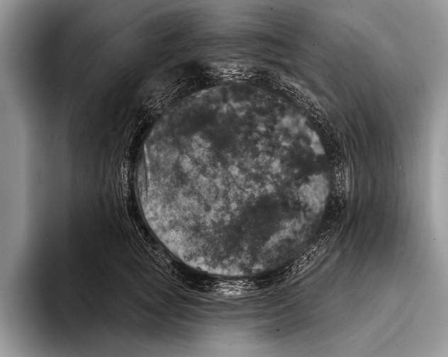 X0000093400757200711091341