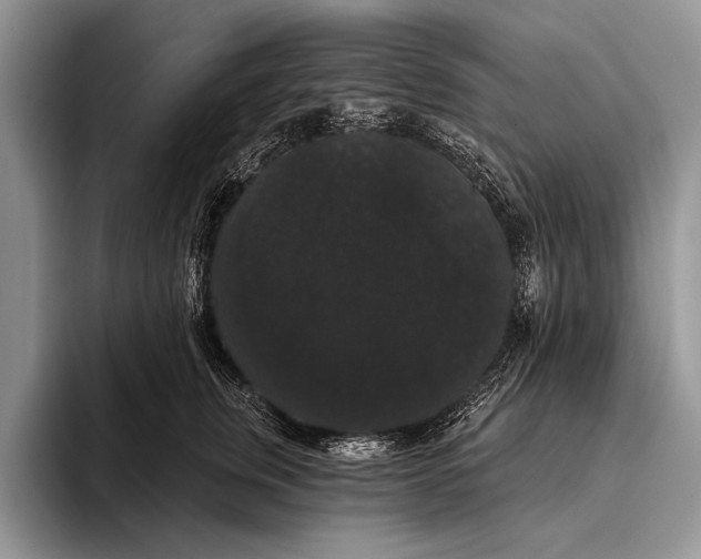 X0000093400759200711091341