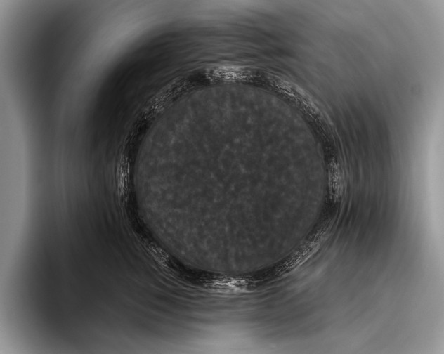 X0000093400760200711091341