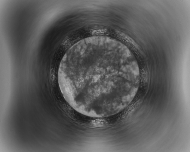 X0000093400761200711091341