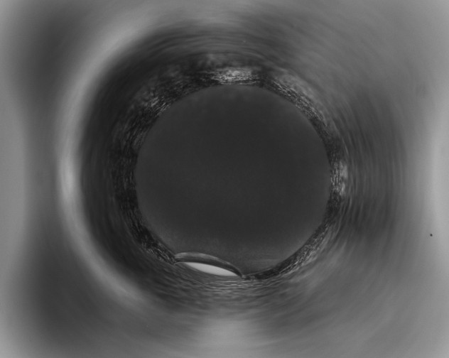 X0000093400763200711091341